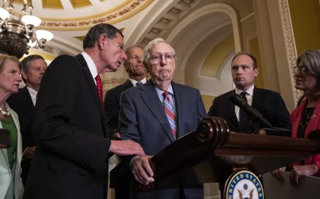 Mitch McConnell: Health Concerns After Abruptly Stopping Press Conference