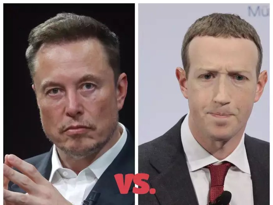 Elon Musk vs. Mark Zuckerberg: Cage Match to be Held in Italy